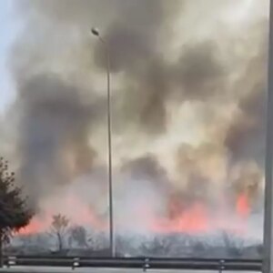 duzcede otoyol yaninda yangin ObjdrSOZ