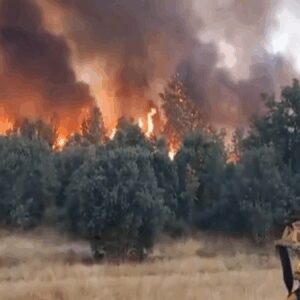 ispanyada orman yanginlarinda hayatini kaybedenlerin sayisi 3e yukseldi BGvZirOK