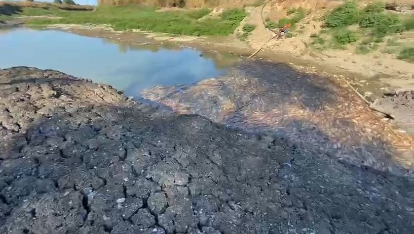 kocabas cayinda kuraklik alarmi balik olumleri basladi b5xA995H