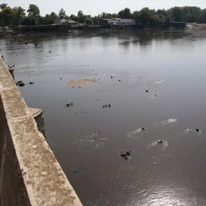 meric nehrinde su seviyesinin dusmesiyle tarihi ahsap koprunun ayaklari ortaya cikti MAOzTz6m