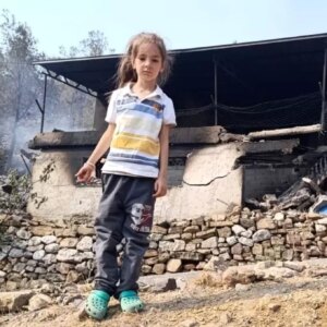 mersinde orman yangini evler yanip hayvanlar telef oldu HMPImJhX