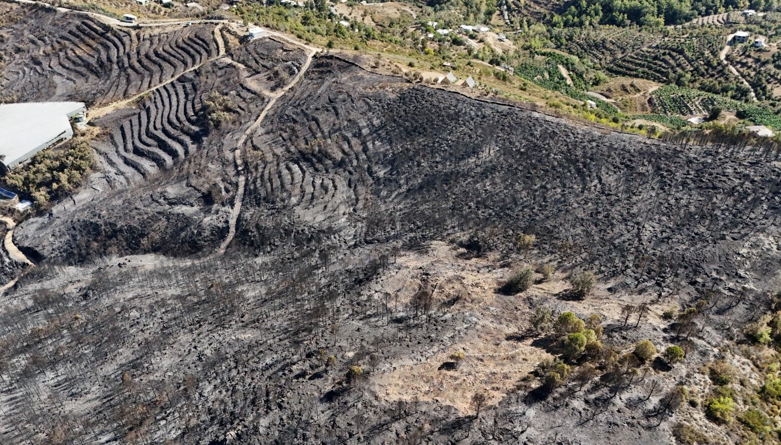 antalyadaki orman yanginin bilancosu havadan goruntulendi 7COO15PK