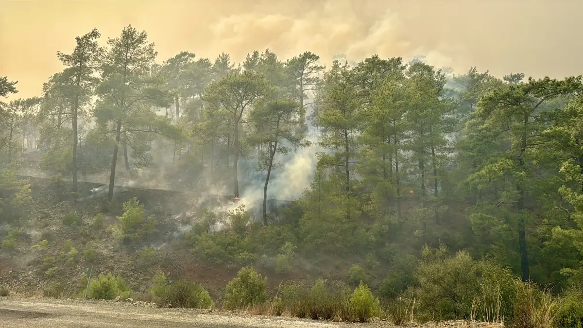 koycegizde orman yangini ikinci gunde LP141dJd