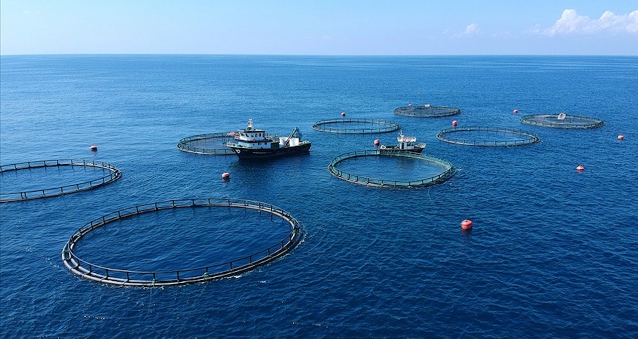 turk su urunlerine kanada pazari yeniden acildi hKyIE8Mh