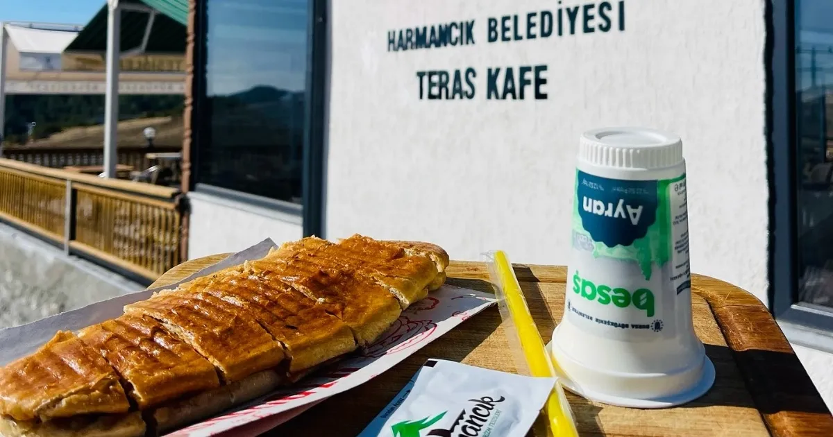 bursa harmancikta sosyal belediyecilik farki O9sSR5CI