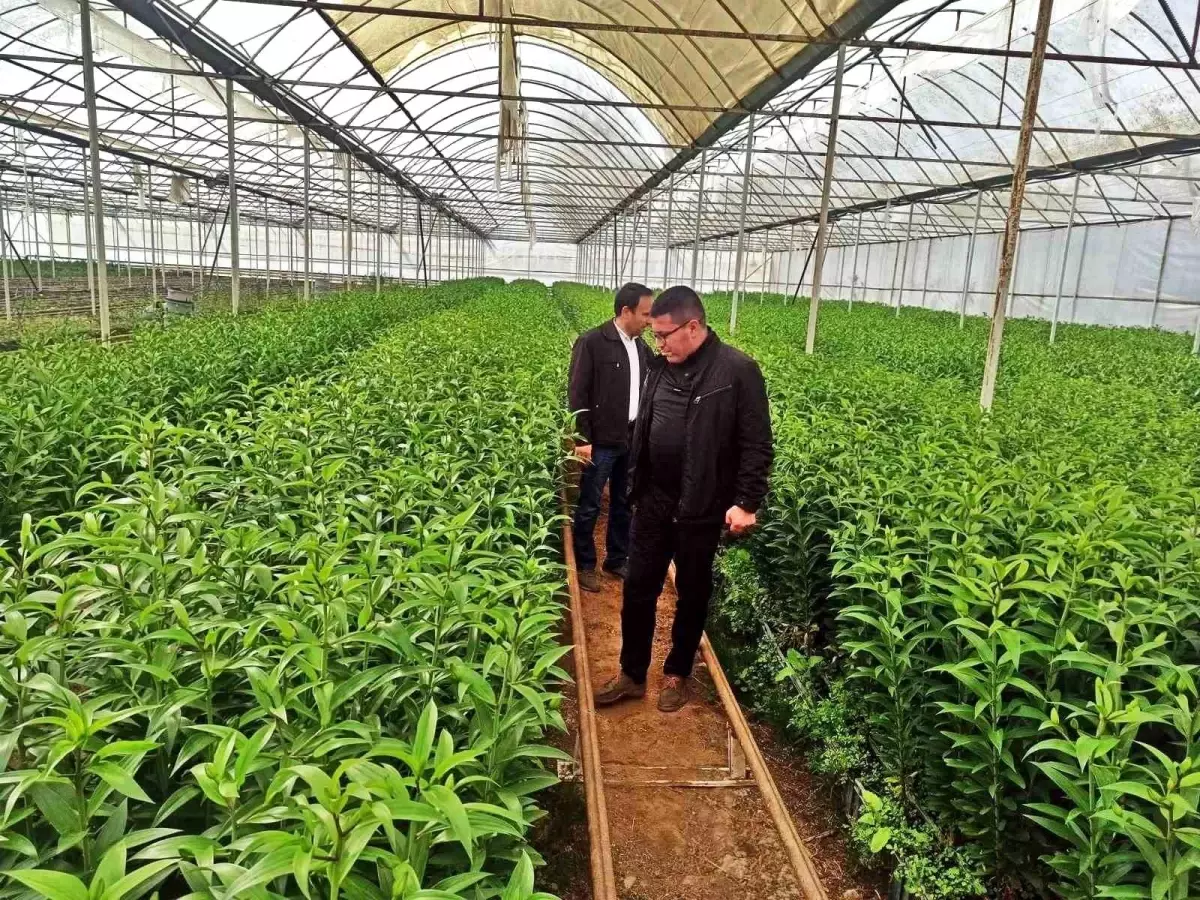 emette seracilik teknik gezisi xq3dsLSi.jpg