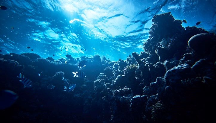 okyanusun altindan siziyor antarktikada sasirtan kesif mVDxy14M